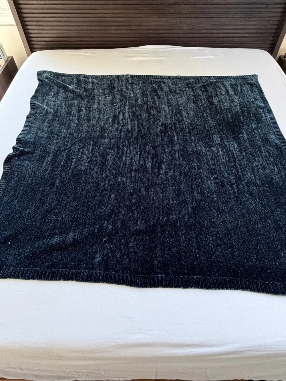 West Elm Chenille Throw